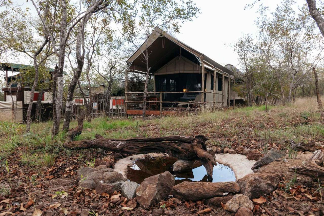 Villa Isambane Camp Balule Game Reserve Exterior foto