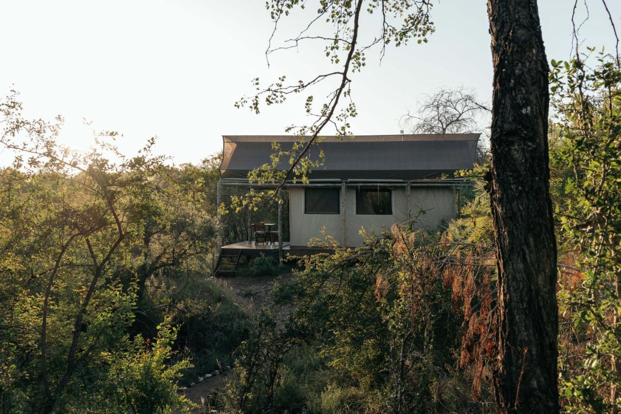 Villa Isambane Camp Balule Game Reserve Exterior foto