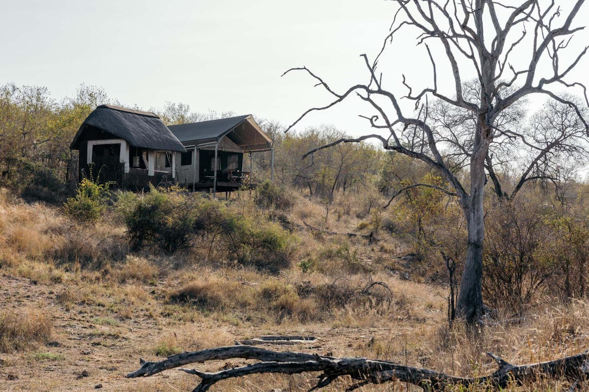 Villa Isambane Camp Balule Game Reserve Exterior foto
