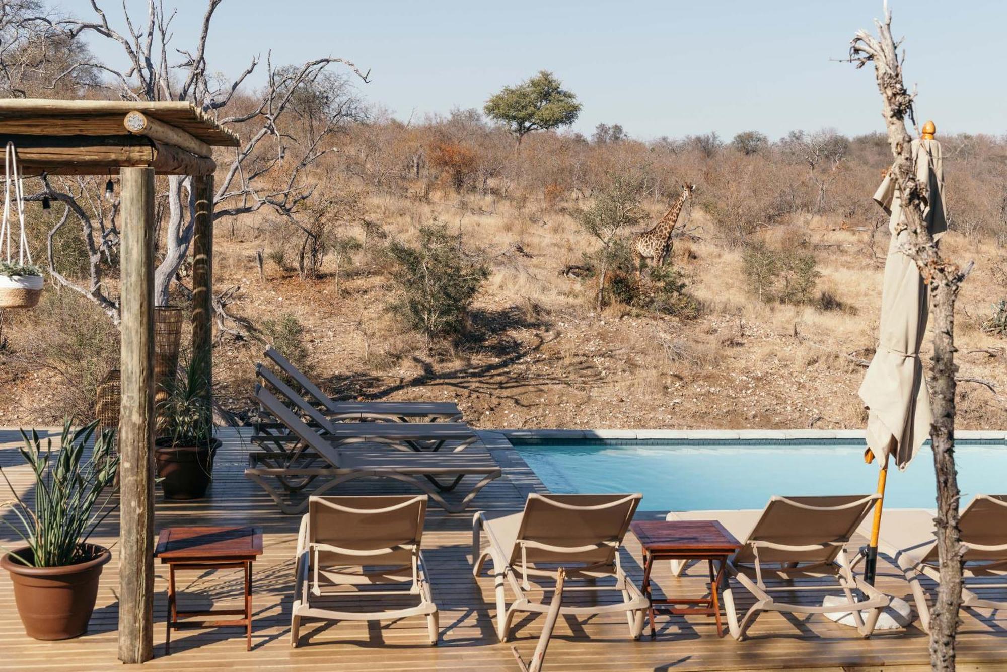 Villa Isambane Camp Balule Game Reserve Exterior foto