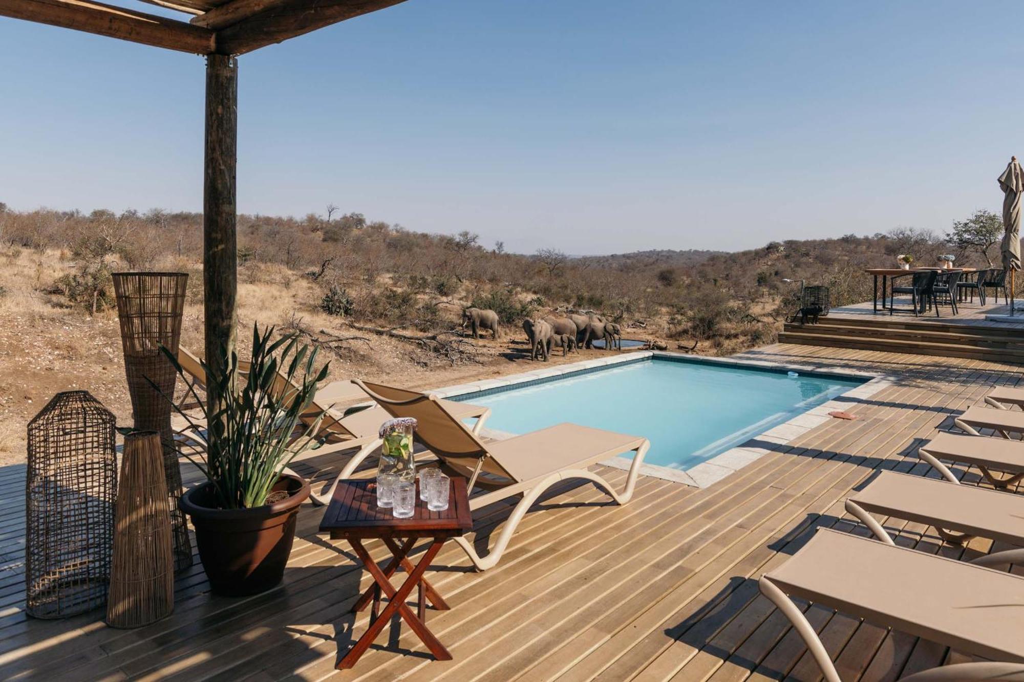 Villa Isambane Camp Balule Game Reserve Exterior foto